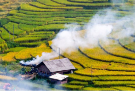 Sapa