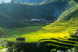 Bac Ha 