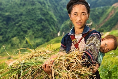 Halong Bay - Sapa Luxury 7 Days 6 Nights
