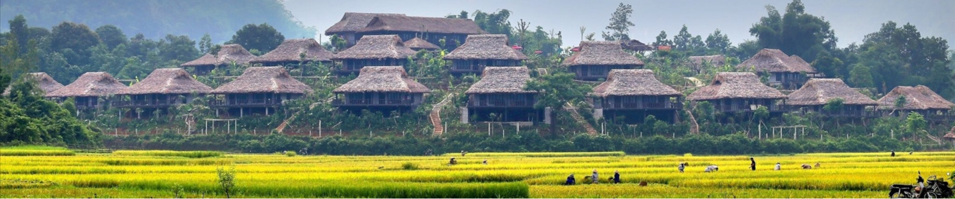 Mai Chau 