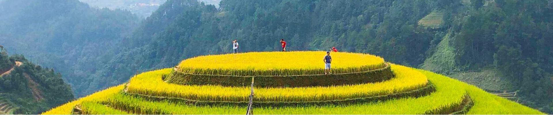 Mu Cang Chai