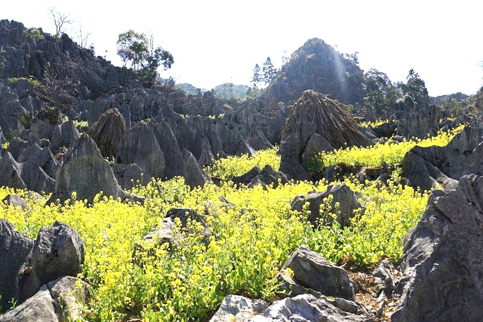 Dong Van Karst Plateau Geopark How To Experience Dong Van Trekking Adventure