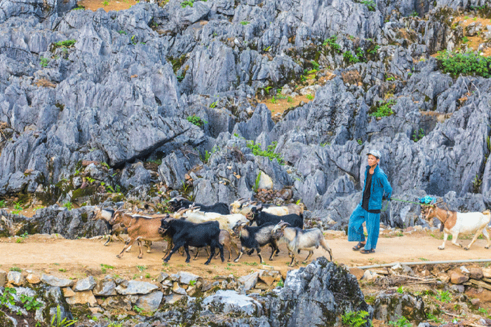 Explore-ha-giang-vietnam-the-top-13-places-to-visit_AuasiaTravel